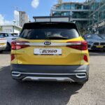 f1ffed33-ec7b-4669-8147-8e4502e4b214